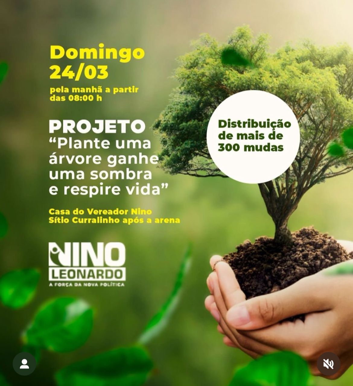 Projeto " Plante uma árvore, ganhe uma sombra e respire vida"